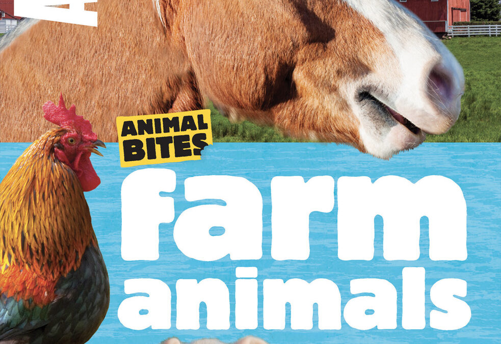 Animal Bites Farm Animals