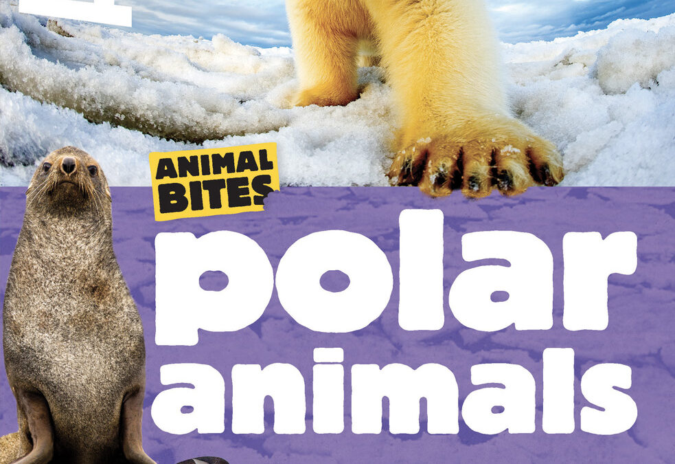 Animal Bites Polar Animals