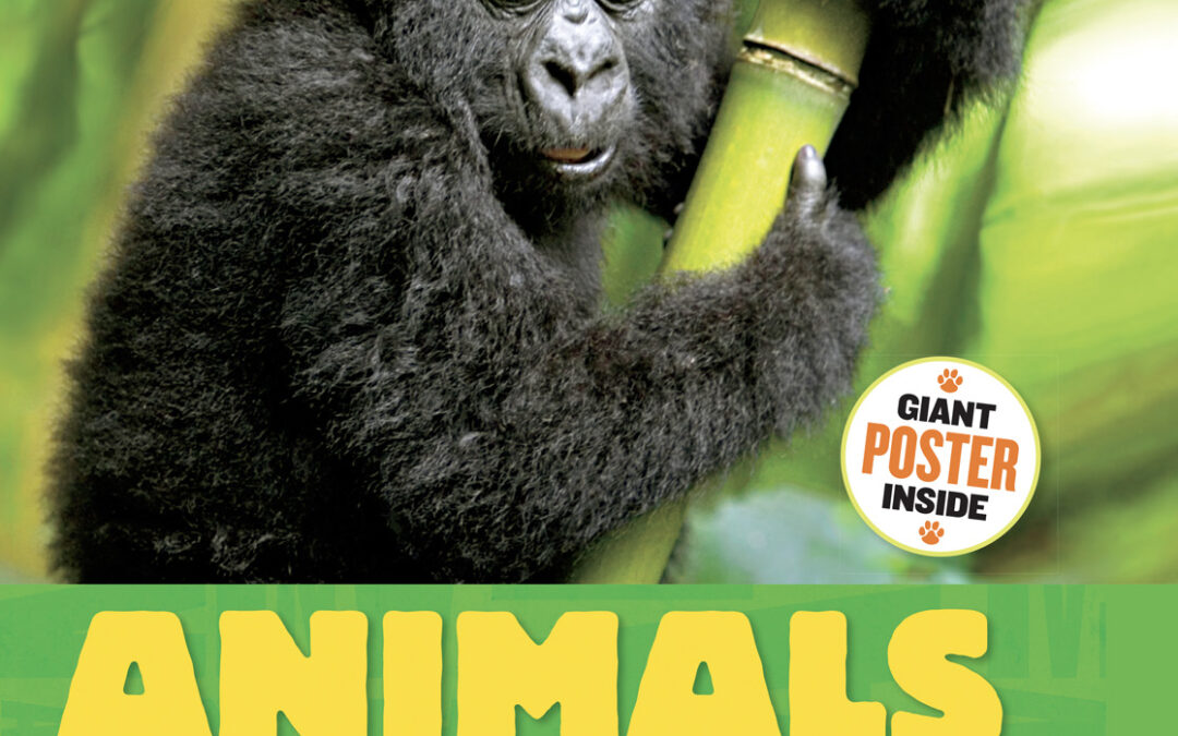 Animals: A Visual Encyclopedia